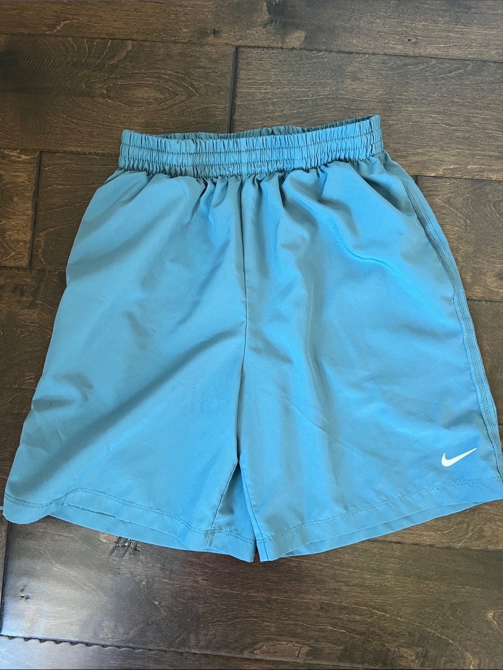 Nike Turquoise Performance Shorts